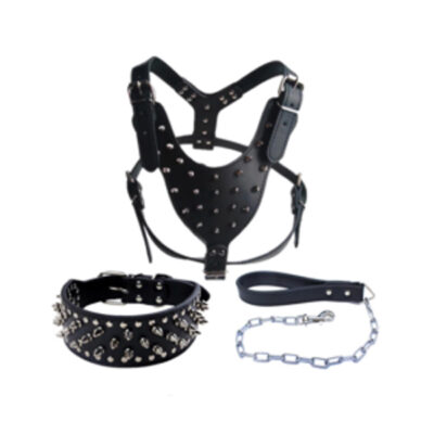 Leather 3 pcs Pet Collar, Harness and Leash