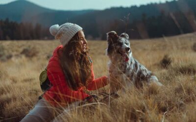 How To Travel with Your Pet - Tips For Stress Free Journeys